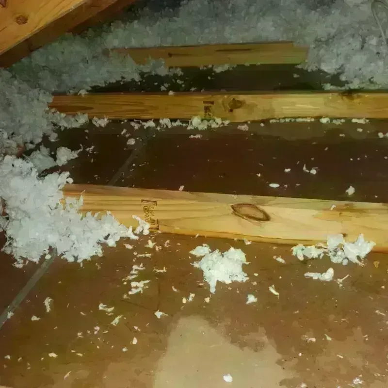 Attic Water Damage in Buckfield, ME